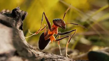 3D-modellierte Ameise auf einem Stein mit Gräsern im Hintergrund